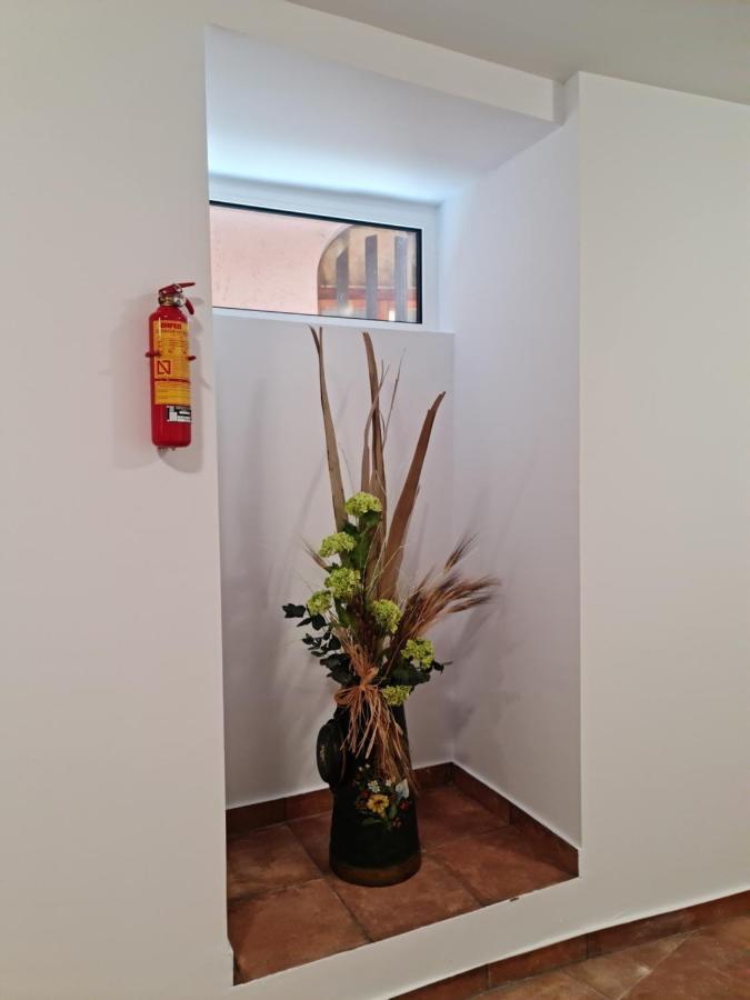 Ferienwohnung Ca La Quima La Seu d'Urgell Exterior foto