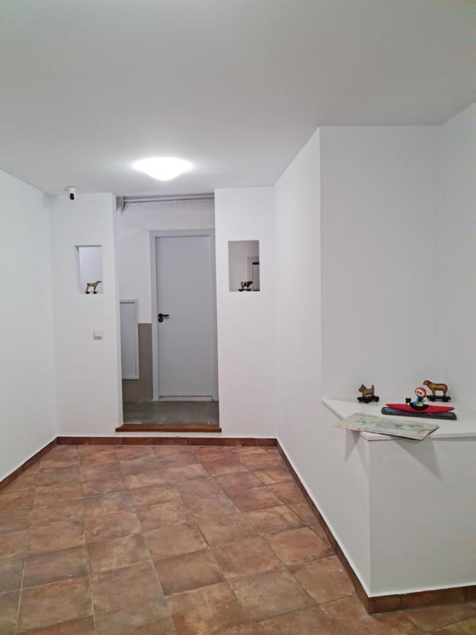 Ferienwohnung Ca La Quima La Seu d'Urgell Exterior foto